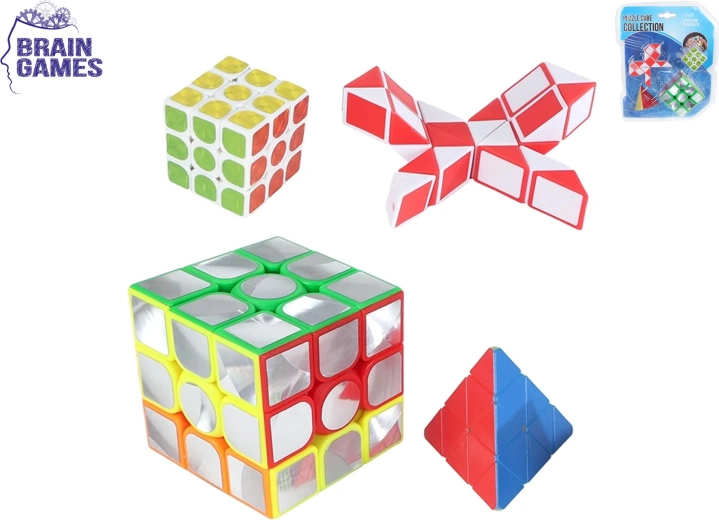 Brain Games Puzzle Set – 4 logic toys for kids and adults