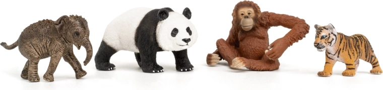 Stardikomplekt Wild Life Aasia