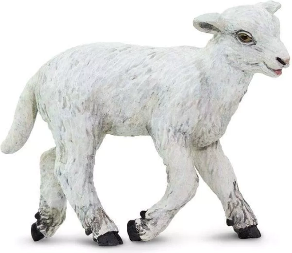 Safari Ltd. kodulamba figuur – 1 tk