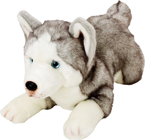 Pehme mängukoer Husky