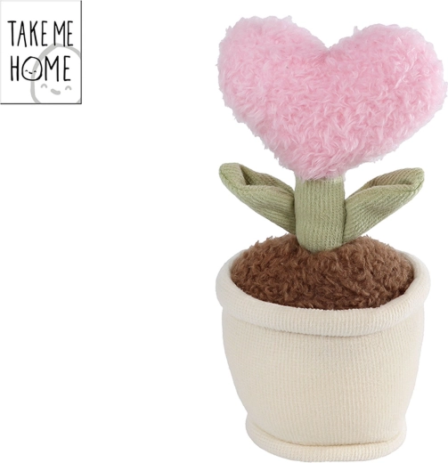 Pink plush plant in a heart shape Take Me Home