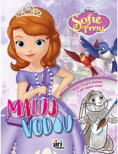Paint with Water A4 Sofia the First
