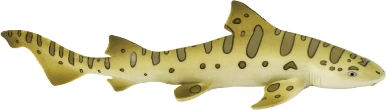 Safari Ltd. leopardhai – 1 tk