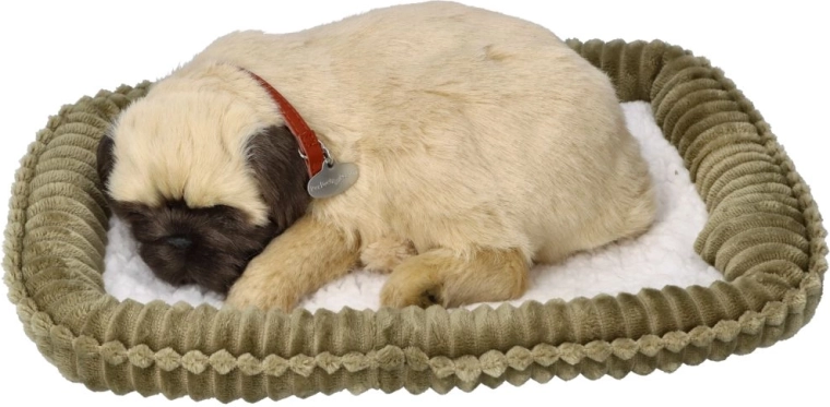 Perfect Petzzz hingav mopsikutsikas