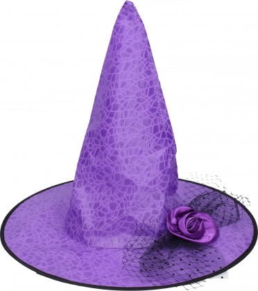 Carnival Set Wizard Hat Purple