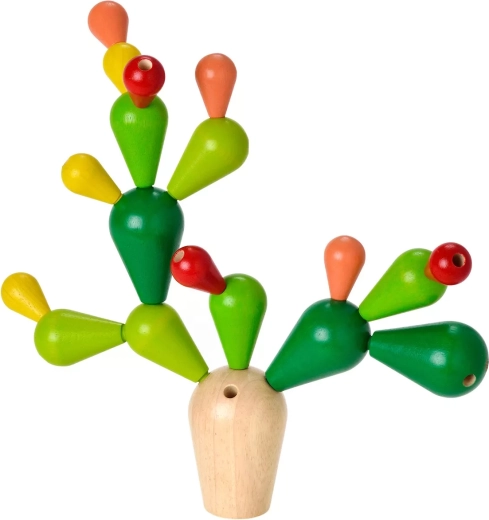 PlanToys tasakaalukaktus