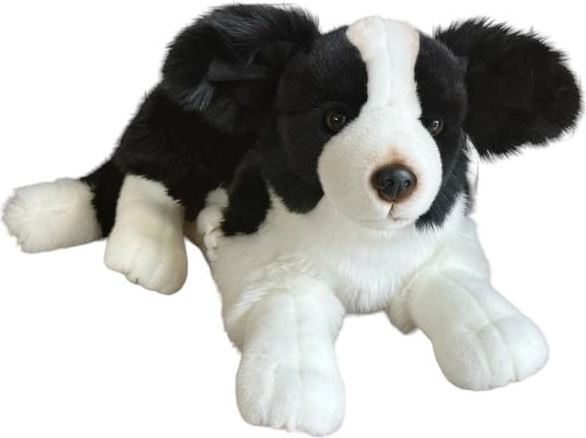 Bordercollie paluskoer 45 cm