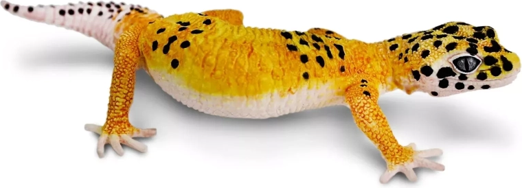 Safari Ltd. öögekoni figuur