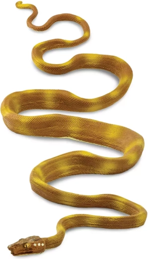 Orinoco psohlavec (Safari Ltd.)