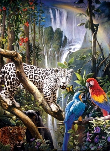 Teemandimaal – papagoid ja panter 30 × 40 cm