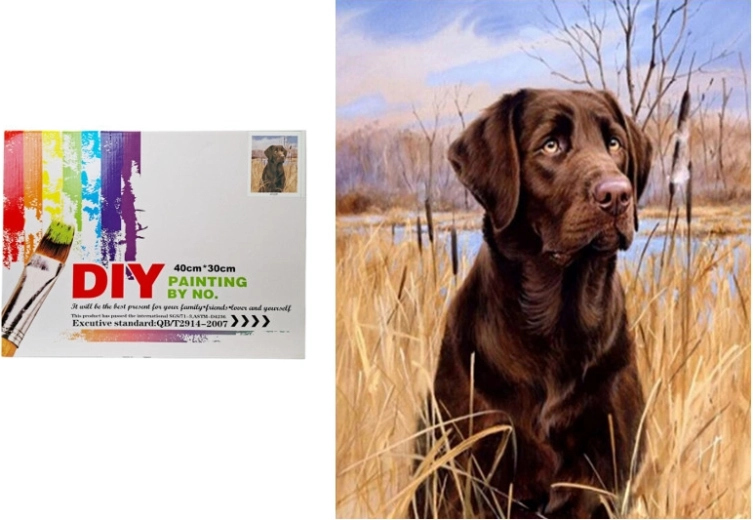 Paint by Numbers – Dog in the Reeds
