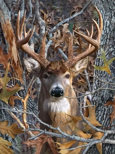 Teemantmaal – hirve pilk 30 × 40 cm