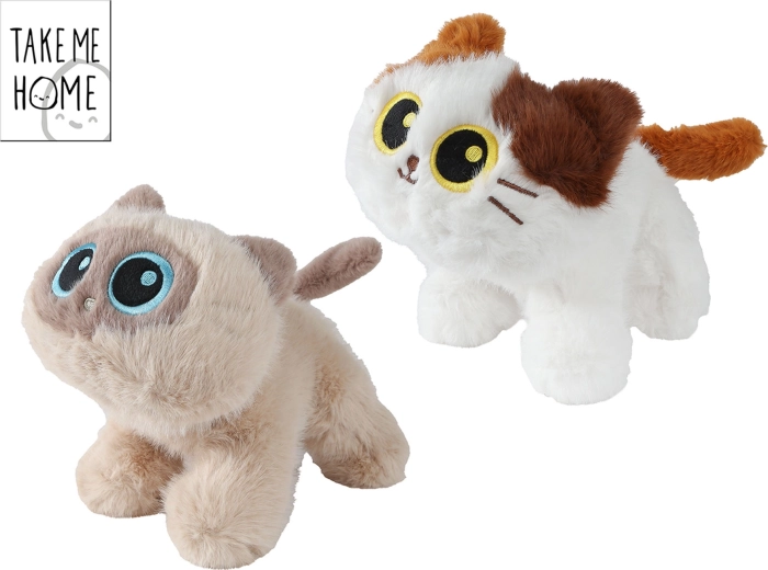 Plüüsist kass Take Me Home suurte silmadega – 1 tk