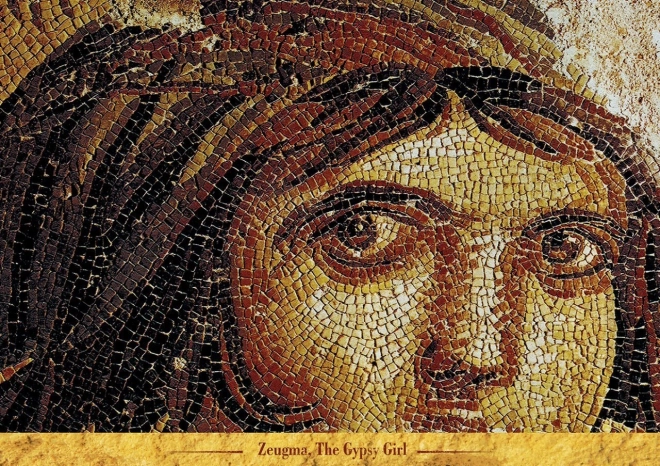 Pusle „Mustlastüdruk” 1000 tükiga, ART PUZZLE