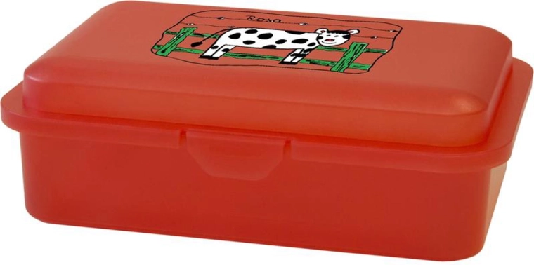 Plastic lunch box with print 16 × 11 × 5.5 cm