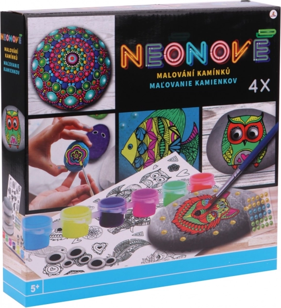 Creative Neon Rock Painting Kit