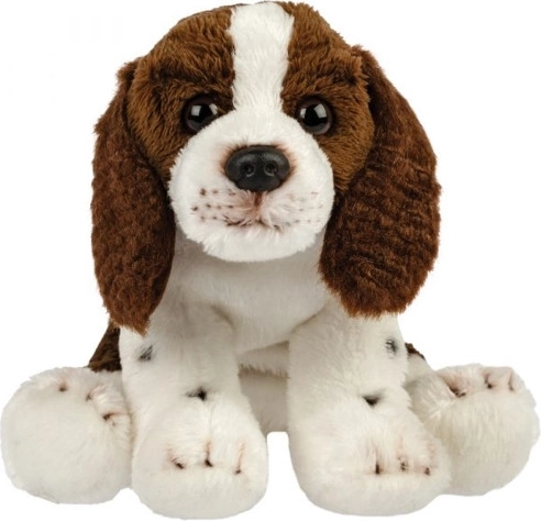 Plush Spaniel Dog