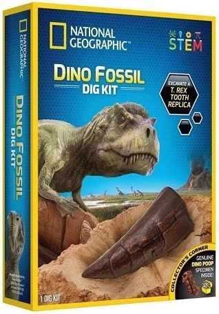 National Geographic Dinosaur Excavation Kit