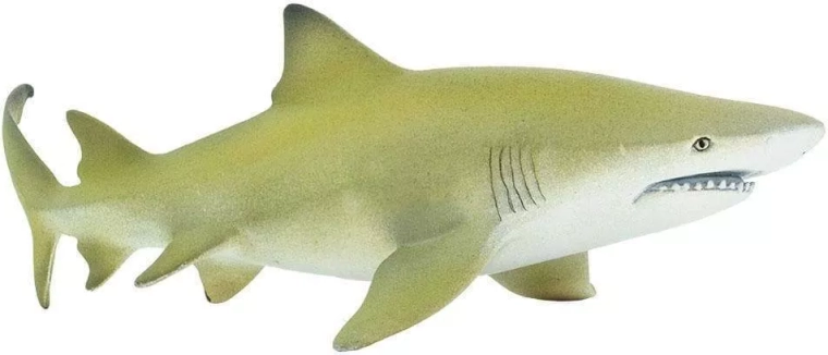 Safari Ltd. sidrunhai figuur