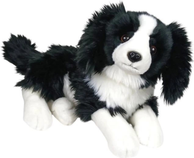 Plush Border Collie Dog lying 30 cm