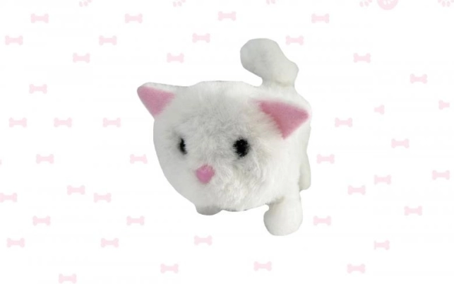 Interaktiivne patareidega kass