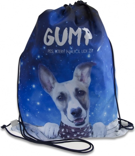 GUMP sinine susse-/jalanõude kott