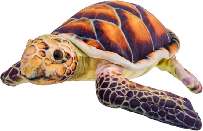 Brown plush turtle 38 cm