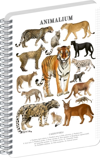 Notique spiraalplokk Animalium – kasslased A4, ruuduline
