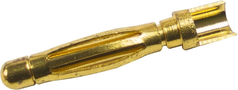 Kuldne pistik 2 mm