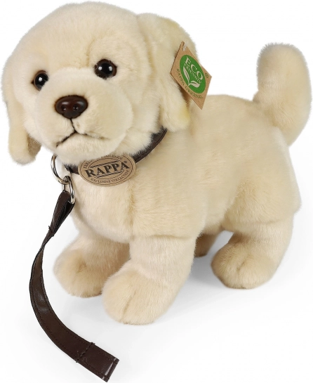 Pehme mängukoer Kuldne retriiver rihmaga 25 cm