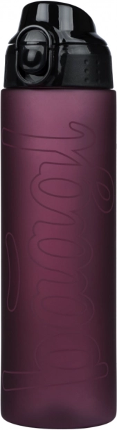 Baagl tritaanist joogipudel Ruby 700 ml