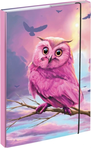 BAAGL A4 koolivihikute kaaned öökullimotiiviga