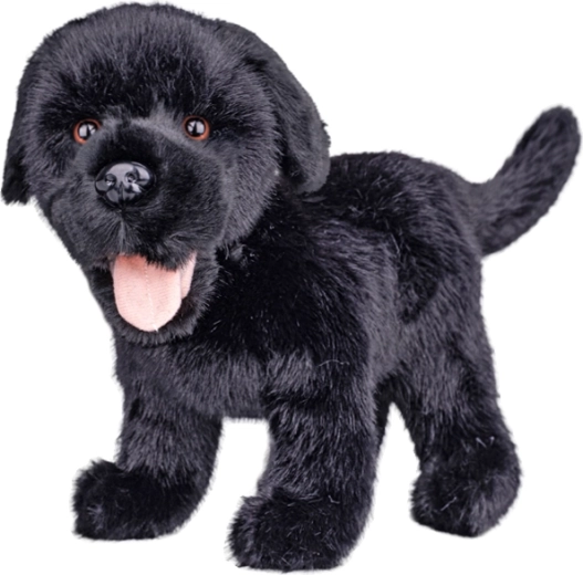 Plush black Labrador 23 cm - 1 piece