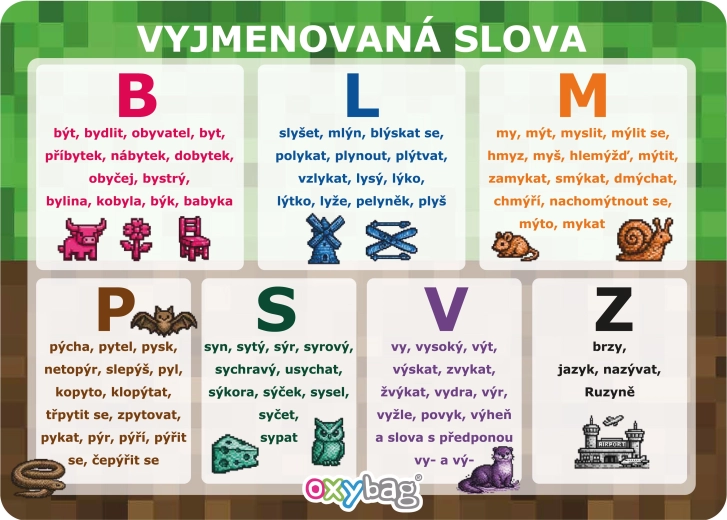 PlayWorld õppekaart A4 – erandid (vyjmenovaná slova)