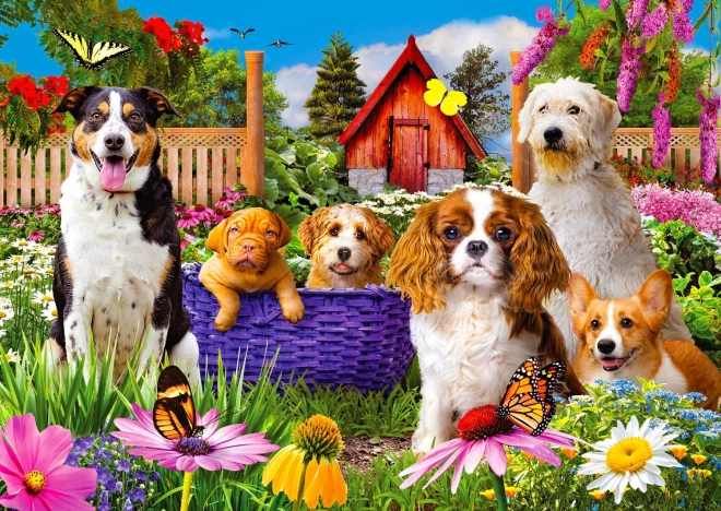 Enjoy Puzzle Käpapatrull 1000 tükki