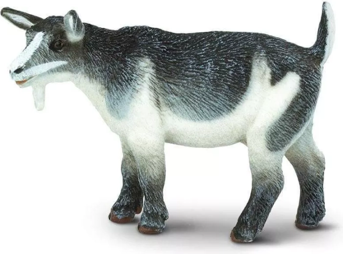 Safari Ltd. kääbuskitse figuur