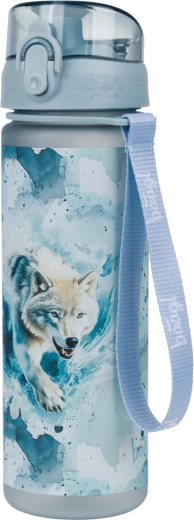 Baagl Tritanist joogipudel Polar 500 ml
