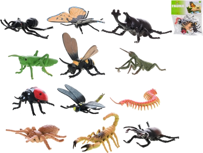 Putukakujude komplekt 4–6 cm, 12 tk kotis