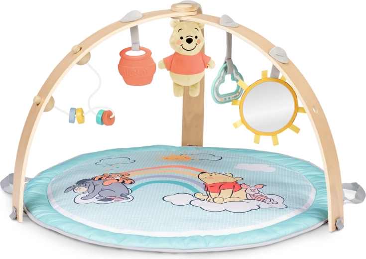 Mängumatt kaarega Disney Baby Winnie the Pooh Hunny Hangout