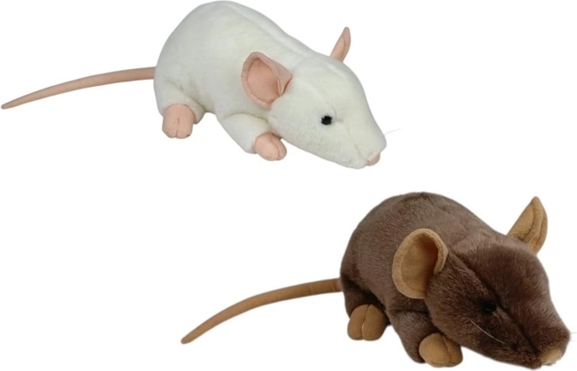 Palusrott 24 cm (2 värvi)