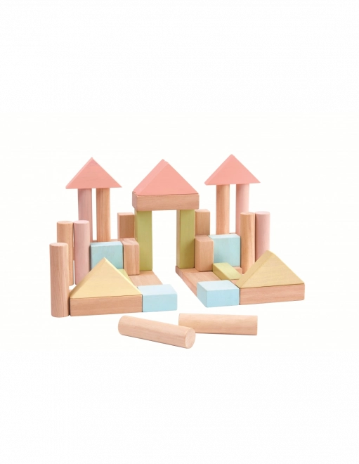 PlanToys building blocks 40 pcs