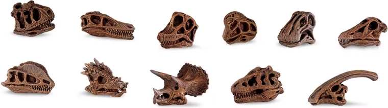 Safari Ltd. dinosauruste koljud – miniatuursete replikate komplekt