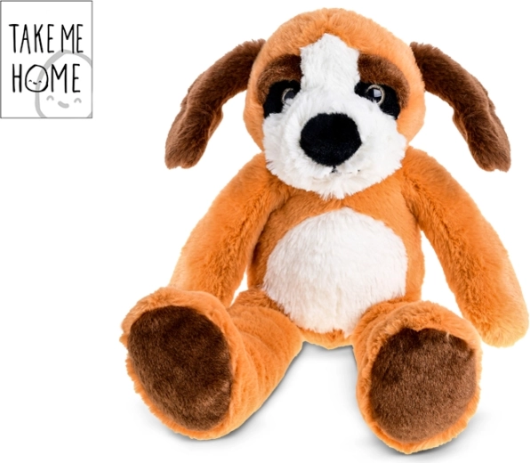 Pehme koerake Take Me Home 35 cm