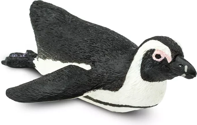 Spectacled penguin Safari Ltd. - 1 piece