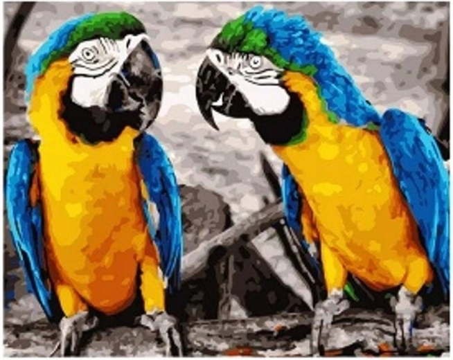 Teemantmaal Papagoid 30 × 40 cm