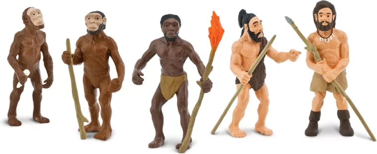 Safari Ltd. inimese evolutsioon – 5 käsitsi maalitud figuuri komplekt