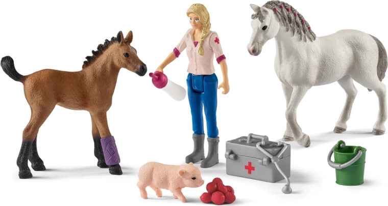 Veterinarian Visit for the Mare and Foal