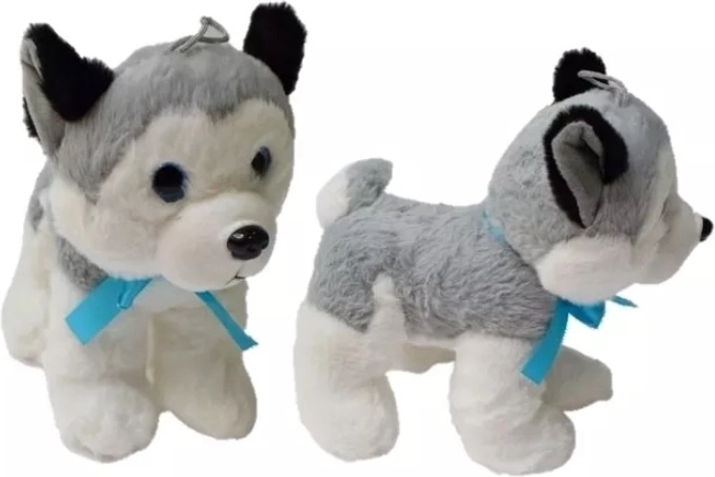 Plüüsist husky, keskmine 20 cm
