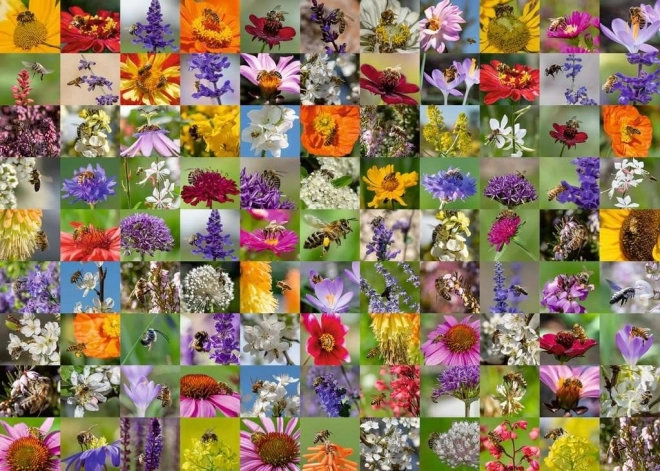 Puzzle 1000 Pieces 99 Bees
