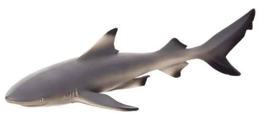 MOJO mustuimhai (blacktip) figuur XL 16 cm